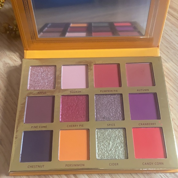 Falling For You Eye Shadow Pallet 🍂 - Picture 3 of 5